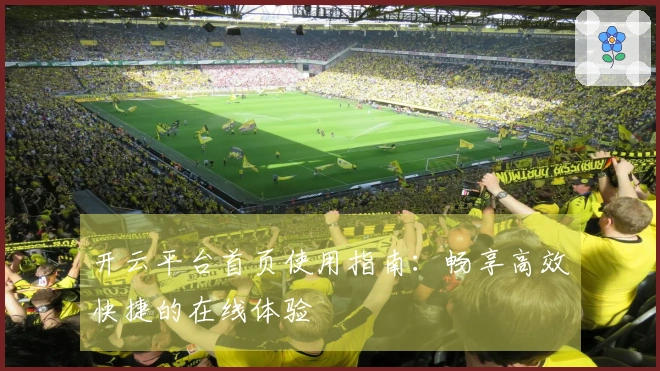 开云平台首页使用指南：畅享高效快捷的在线体验