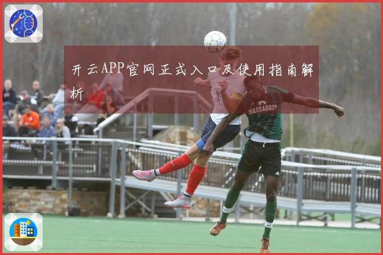 开云APP官网正式入口及使用指南解析